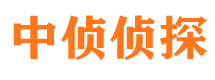 云梦捉小三公司